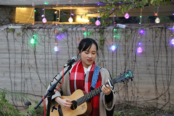 太陽(yáng)能路燈，太陽(yáng)能路燈廠家，太陽(yáng)能路燈價(jià)格